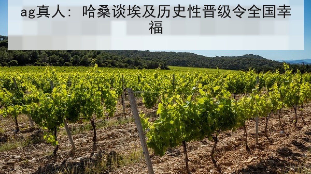 ag真人: 哈桑谈埃及历史性晋级令全国幸福