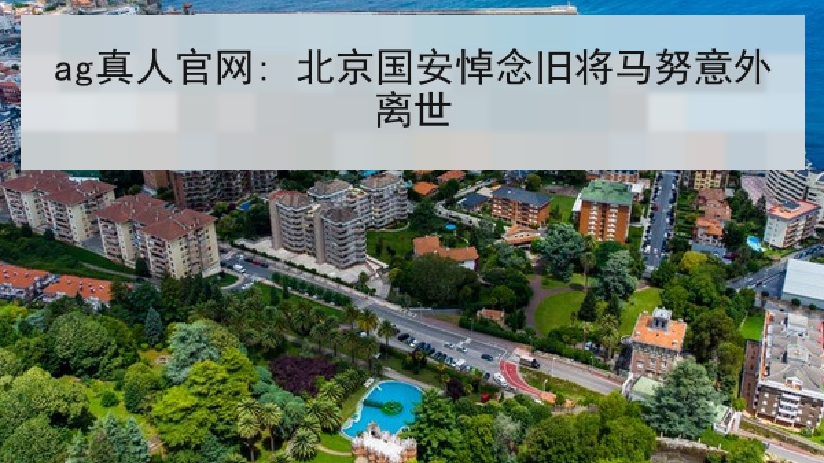 ag真人官网: 北京国安悼念旧将马努意外离世
