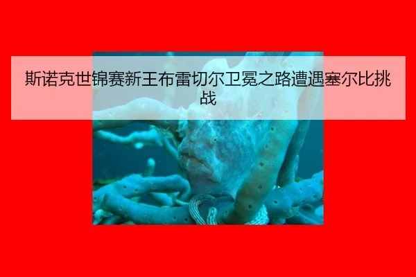 si-nuo-ke-shi-jin-sai-xin-wang-bu-lei-qie-er-wei-mian-zhi-lu-zao-yu-sai-er-bi-tiao-zhan-3-418.jpg