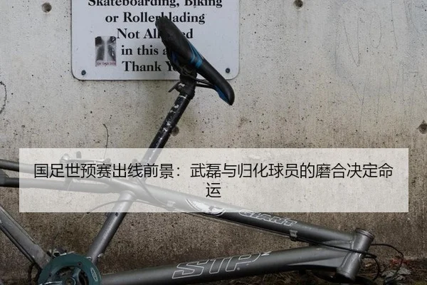 国足世预赛出线前景：武磊与归化球员的磨合决定命运