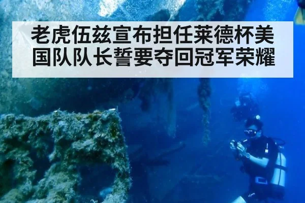 老虎伍兹宣布担任莱德杯美国队队长誓要夺回冠军荣耀